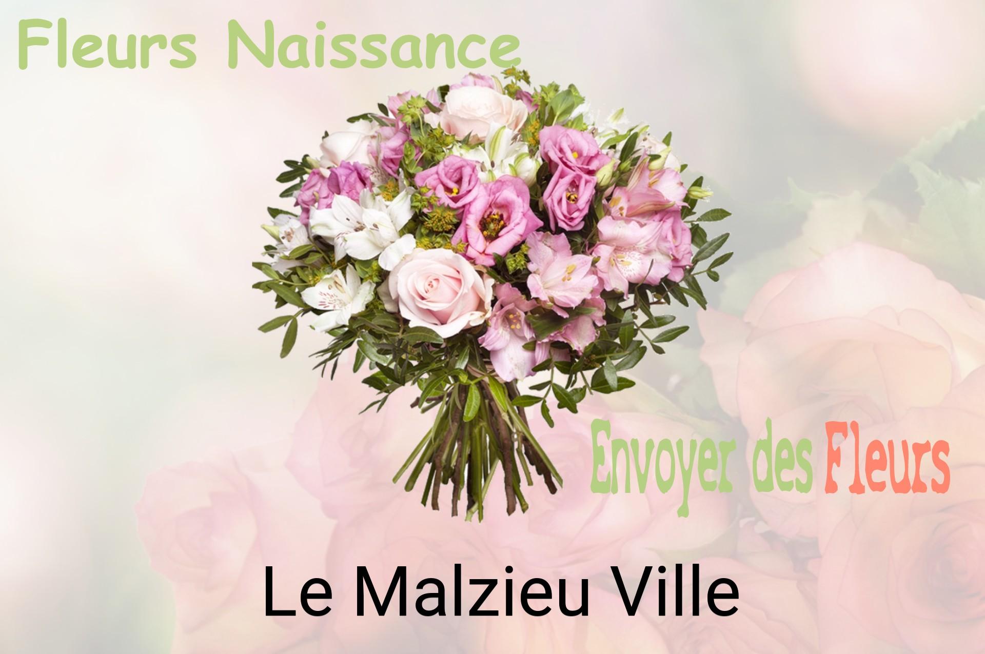 Bouquet de fleurs de naissance livré à Le Malzieu-Ville