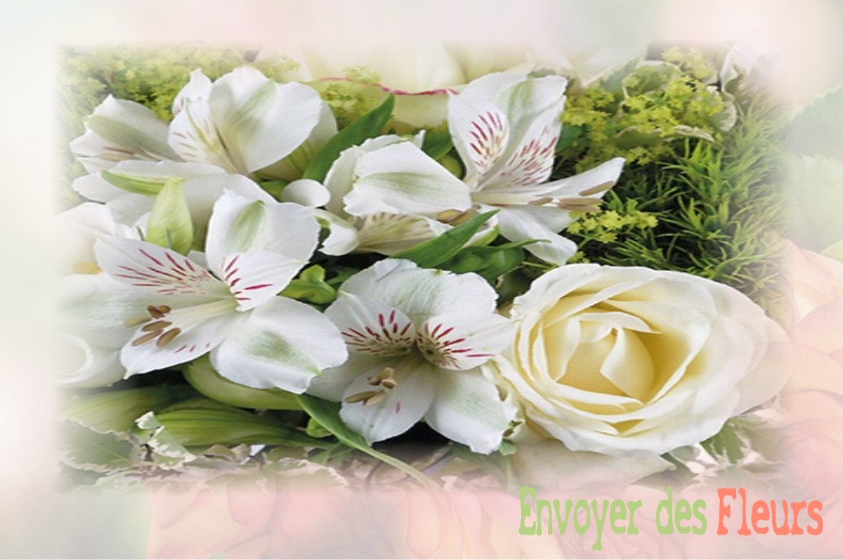 envoyer des fleurs à à LE-MALZIEU-VILLE