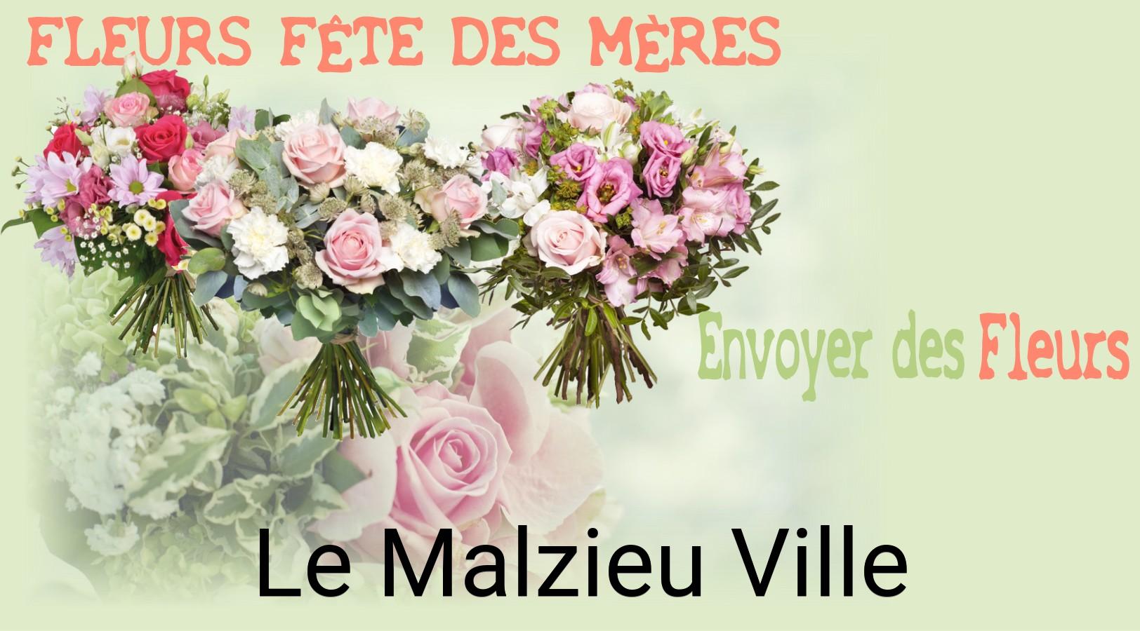 Bouquet de Fête des Mères livré à Le Malzieu-Ville